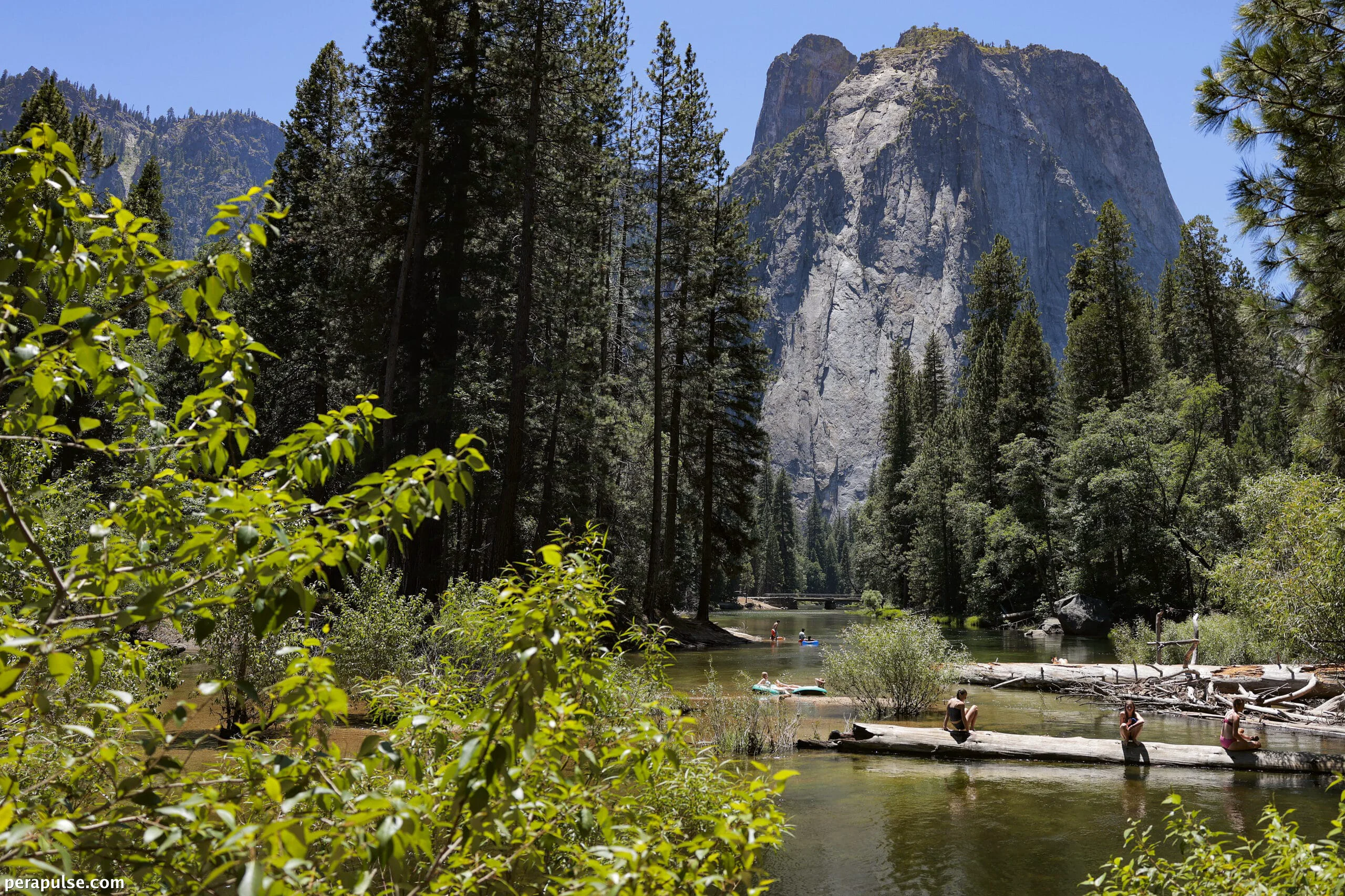 Isinasaalang-alang ng Administrasyong Trump ang Paglipat ng Lupa mula sa Yosemite National Park