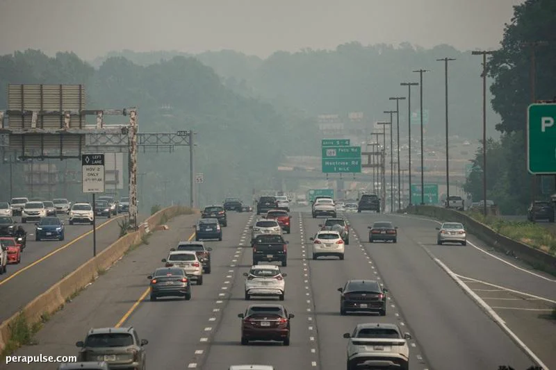 Trump Blames Canada for Wildfire Smoke, Plans Tariff Adjustments