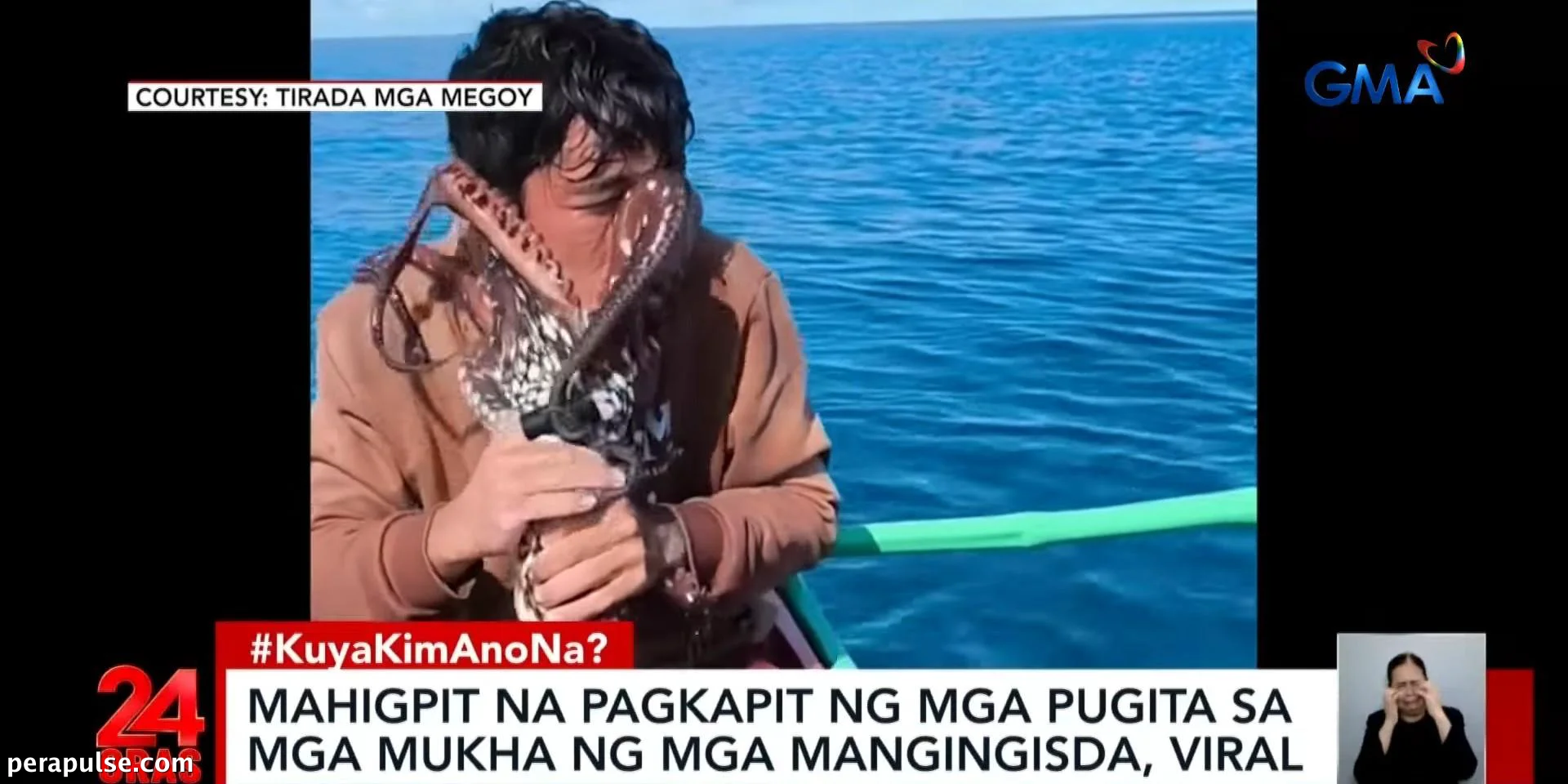 Viral Videos Show Octopuses Clinging to Fishermen in Palawan