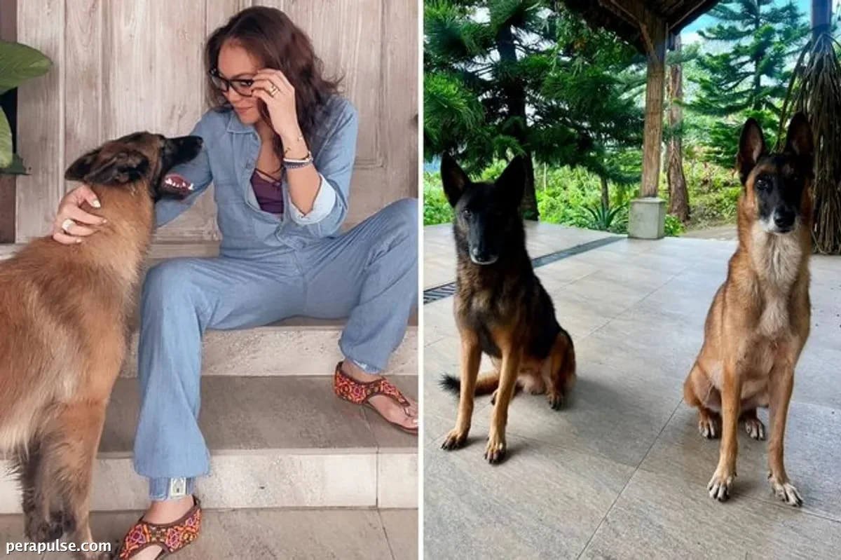 Ano ang Itinuro ng Pag-aalaga ng Belgian Shepherds kay Bianca Salonga Tungkol sa Pagiging Magulang