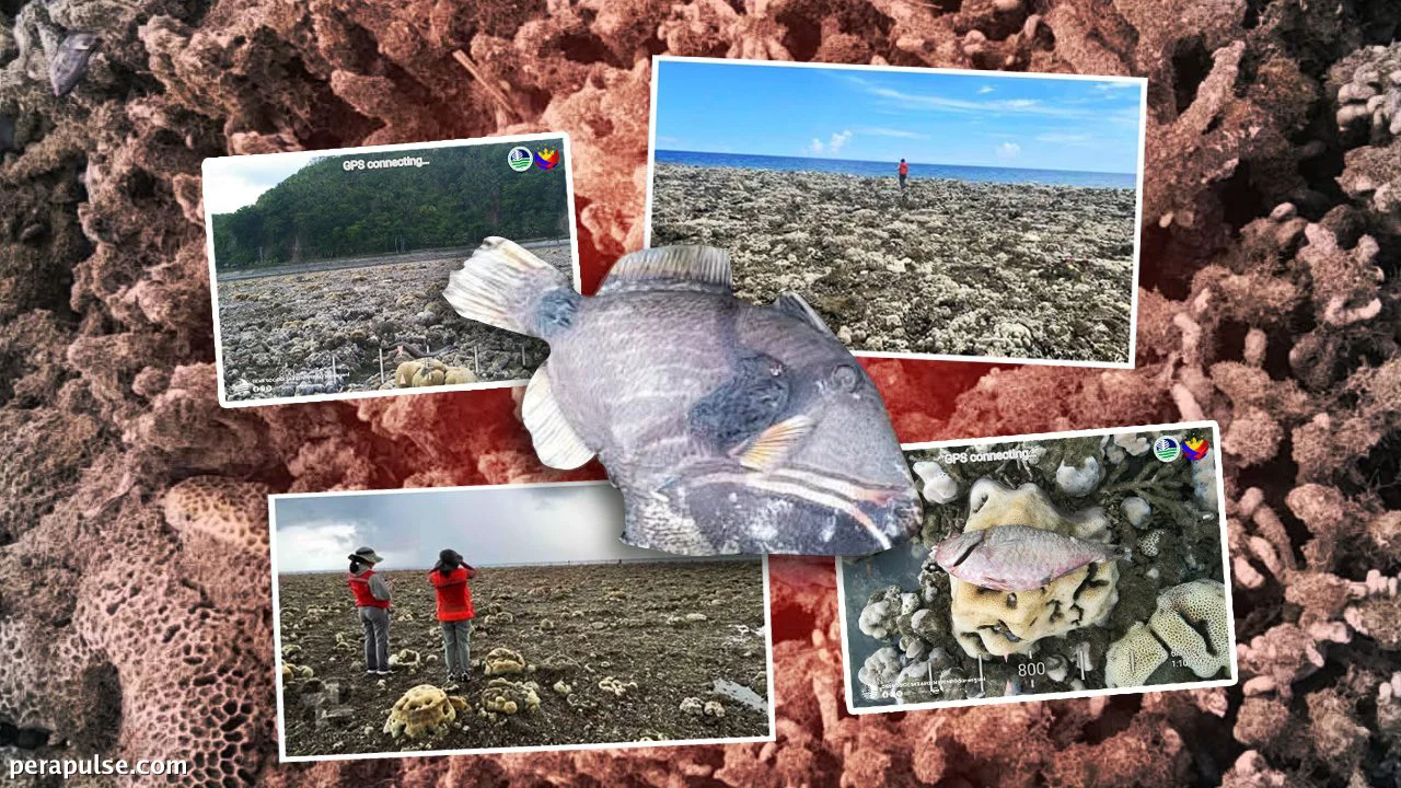 Bakit Parang Nawawala ang Dagat Pagkatapos ng Lindol?