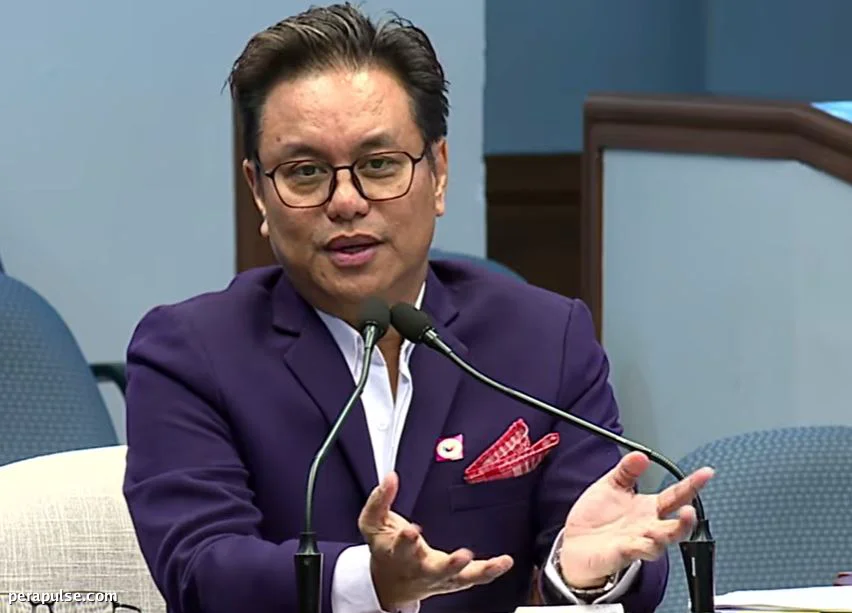 Saksi Nag-claim na ang mga Financial Records ni Sara Duterte ay Nagpapakita ng 'Sintomas ng Money Laundering'