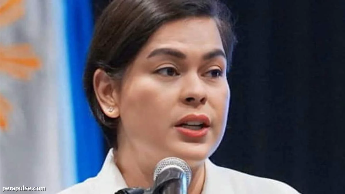 Nangangailangan ng Imbestigasyon ang mga Mangingisda ng Zambales sa Ugnayang Pondo ng Tsina na Kinasasangkutan si Sara Duterte